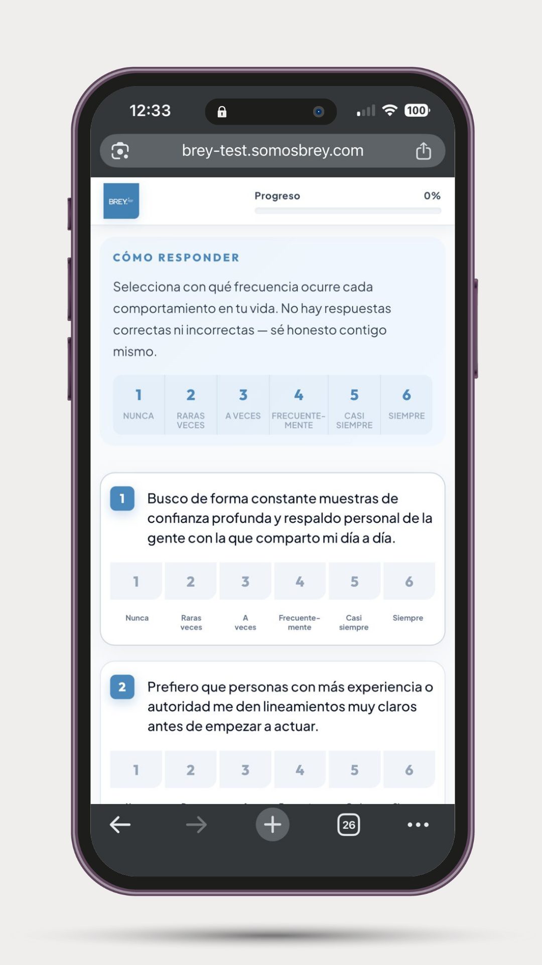 BREY Test procesando perfil